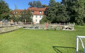 Bolzplatz, Sandkiste, Spielplätze und viele Tiere...